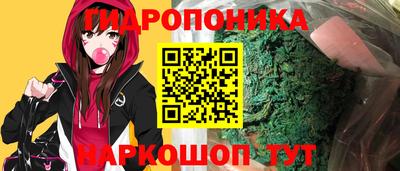 МДПВ Канаш
