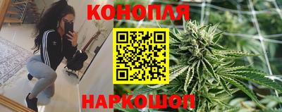МДПВ Канаш