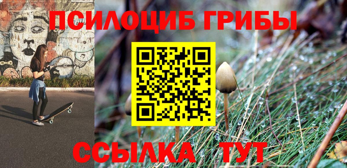 Псилоцибиновые грибы прущие грибы Ливны