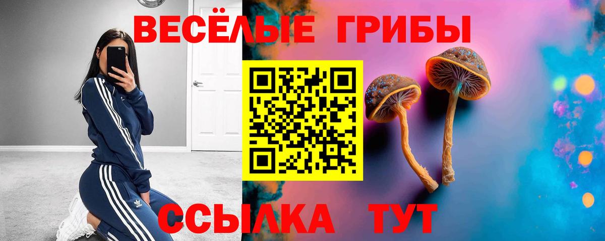Галлюциногенные грибы мухоморы  Вход с VPN  Ливны 